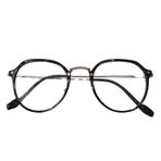 Fiauli Siyah Gümüş Unisex Gözlük Çerçevesi