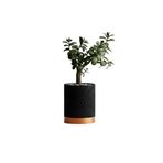 Fibrika Store Linea Noir – Modern Saksı