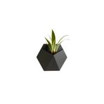 Fibrika Store Modern Altıgen Duvar Saksısı gri