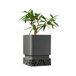 Fibrika Store Modern Mat Yüzeyli Dekoratif Saksı