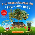 Fidan Paketim 3 Lü Narenciye Paketim ( Kum - Por - Man )