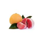 Fidan Paketim Şadok Ağaç Kavunu Citrus Maxima Pomelo 3 Yaş Aşılı Tüplü - Yok