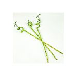 Fidanburada Şans Bambusu (DRACAENA LUCKY BAMBOO) 3'lü 60 Cm