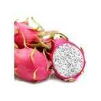 Fidancıyız Beyaz Pitaya Ejder Meyve Fidanı