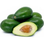 Fidanlıdan Tüplü Aşılı Bacon Avokado Fidanı