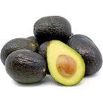 Fidanlıdan Tüplü Aşılı Has Avokado Fidanı