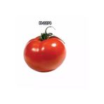 Fide Sepeti Domates Tohumu (H2274) 10gr 1 Paket