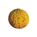 Fide Sepeti Kırkağaç Kavun Tohumu (Yuvarlak637 Tipi) 10gr 1 Paket