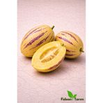 Fideon Pepino Fidesi | Bahçe ve Saksıya Uygun - 6 Adet