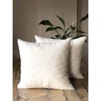 Fifty Home 2 Adet Kırlent Iç Yastık - 8 Farklı Ebat - Dolgusu 100% Kırpık Sünger - 60 x 40 cm - Beyaz