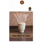 figanlar ambalaj (KALIN) 1. kalite yeniden kullanılabilir, yıkanabilir 12'li Cam Pipet + 2 Adet Temizleme Fırçalı