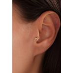 Fil Tragus Küpe