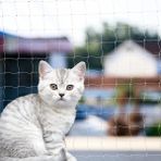 File Antalya Kedi Güvenlik Filesi, Kuş Filesi, Balkon Filesi 2x3 Metre