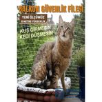 fileka Balkon Filesi 6 X 4 (kuş Filesi, Kedi Filesi, Kuş Ağı, Kuş Önleme Filesi)