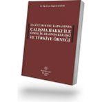 Filiz Kitabevi Iş Gücü Hukuku Kapsamında Çalışma Hakkı Ile Esneklik Arasındaki Ilişki ve Türkiye Örneği
