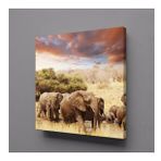 Filler Kanvas Tablo 60x60cm