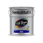 Filli Boya Sentomaxx RAL 7005 2.5 lt Mat Sentetik Boya