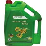 Fıltorq Fortune Gvx 5W30 Dpf 5 L Tam Sentetik Motor Yağı