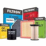 Filtron AP 035 6 Hava Filtresi