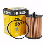 Filtron Ford Fiesta 1.4 TDCI E5 2011-2013 Dizel Yağ Filtresi