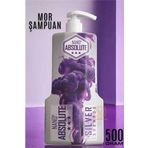 Findit 500 ml Absolute Professional Silver Mor Şampuan