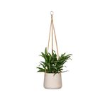Finestgreen Asılı bitki saksısı, gri | bitki dikmek için asılı çiçek saksısı | Urban Gardening bitki askısı