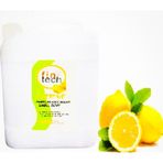 Fintech 5 lt Limon Sauna Esansı