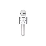 FİOPLUS Wster Karaoke Mikrofon Dahili Hoparlörlü Usb Flash Destekli Ws-858