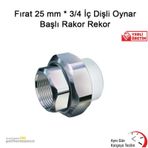 Fırat 25 mm 3/4 İç Dişli Oynar Başlı Rakor Rekor