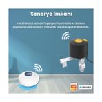 Fırsat Mağazam Wifi Su Baskını Sensörü - Dahili Alarmlı (, Smart Life Uyumlu) - Option-1