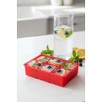Fırsatkolik 6 Hazneli Silikon Buz Kalıbı & Çok Amaçlı Buzluk ve Dondurucu Organizeri 11X16 cm - 00 Siyah - Beyaz