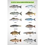 Fishack 35 Parça Tam Takım Olta Seti - 300CM Kamış 40-80GR / 40'lık Makine (Red) - Tüm Deniz ve Göller Için - Tek Ebat - Çok Renkli