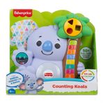 Fisher GXR24 Price Linkimals Sayı Sayan Koala