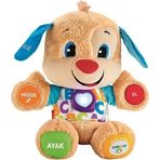 Fisher Price CJV63 Eğitici Köpekçik