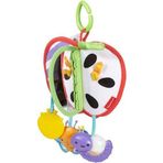 Fisher Price DFP88 Eğlenceli Elma