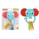 Fisher Price DRC00 Neşeli Arkadaş