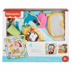 Fisher Price Fısher Prıce Havuz Keyfi Oyun Minderi