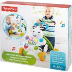 Fisher-Price Fisher Price Melodili Zebra Yürüteç (2 Adet)