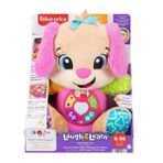 Fisher Price JFD34 Köpekçiğin Kız Kardeşi