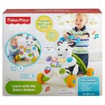 Fisher Price Mate-DLD80 Melodili Zebra Yürüteç 2 Oyuncak