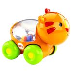 Fisher Price Poppity Araçlar Aslan