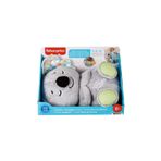 FISHER PRICE Uyku Arkadaşı Koala Müzikli Işıklı Peluş Oyuncak