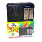 Fişli - Pilli İbreli Radyo Go53/00378