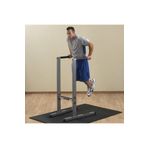 Fitnjoy sports Paralel Bar Dips