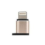 FitPlus Micro to Lightning Çevirici Gold Adaptör