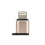 FitPlus Micro to Lightning Çevirici Gold Adaptör