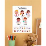 Five Senses-5 Duyu Ingilizce Çocuk Eğitim Tekli Pvc Poster 30X42 cm