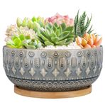 Fivepot Drenaj Delikli 8 İnç Seramik Etli Saksılar İç Mekan Bitkileri için Saksı Bambu Tepsi ile Yuvarlak Sığ Bonsai Saksısı Mavi
