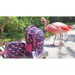 Flamingo Bahçesi Okul Çantası ve Beslenme Çantası
