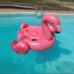 Flamingo Binici - Şişme Flamingo - Bot Deniz Flamingo Binici - Havuz Flamingo Şişme 147X140X94 Cm. - Pembe - Flamingo - 147 x 140 x 94 cm